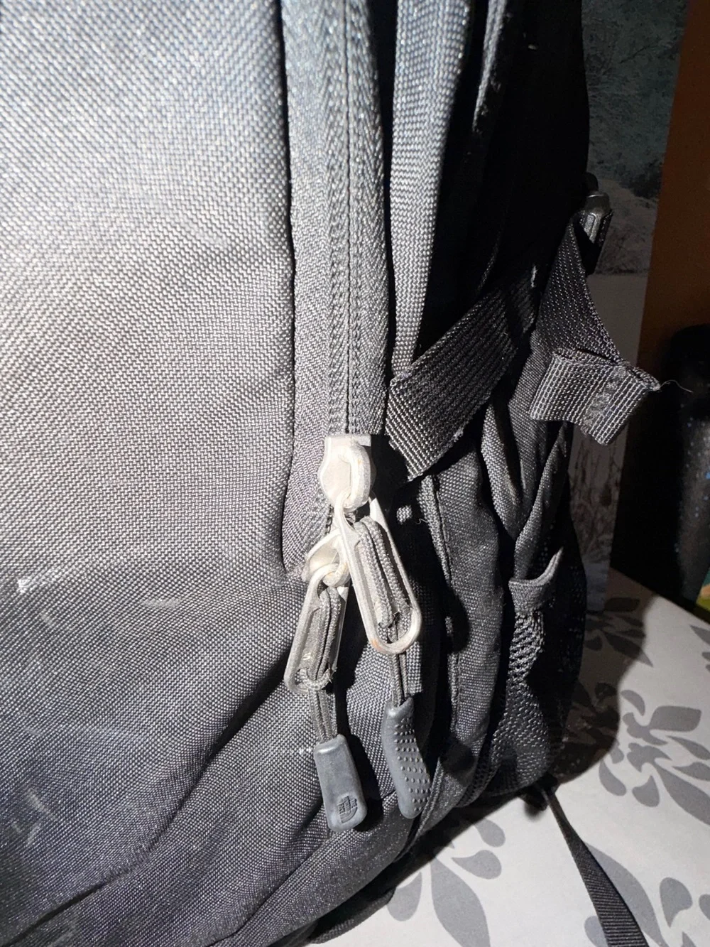 The North Face brand north